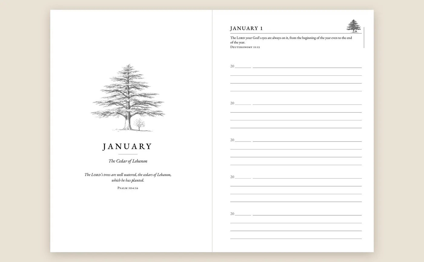 Open journal showing the January opener with a cedar of Lebanon drawing beside the January 1 page