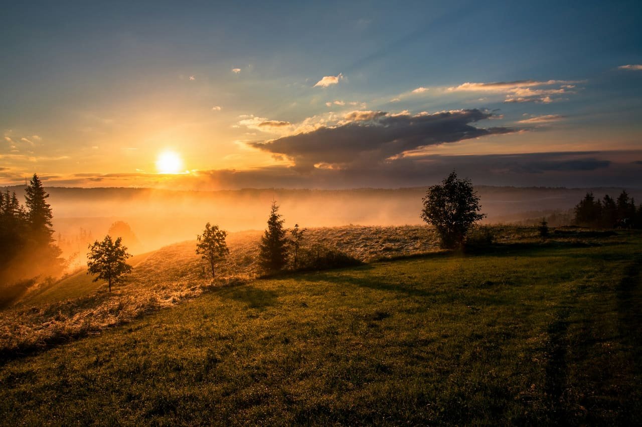 Sunrise burning through mist over an open field, trees along the ridge